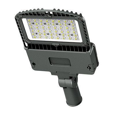 Il contenitore di scarpa di watt LED di Dimmable 100 accende l'impulso irregolare di progettazione 10KV